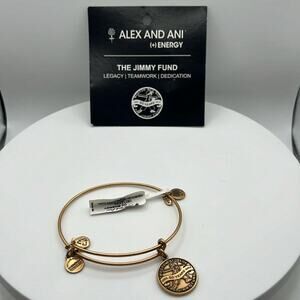 Alex and Ani the jimmy fund charm bracelet